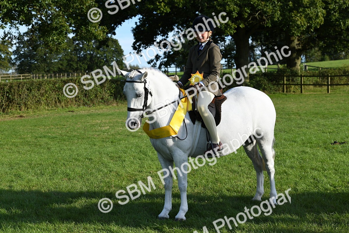 SBM_52433 - S22 - 1st Ridden Show & Show Hunter Pony