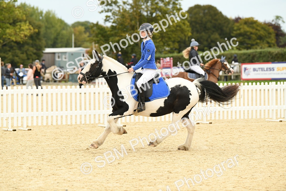 SBM_73034 - J16 - Junior Pony 75cm Championship