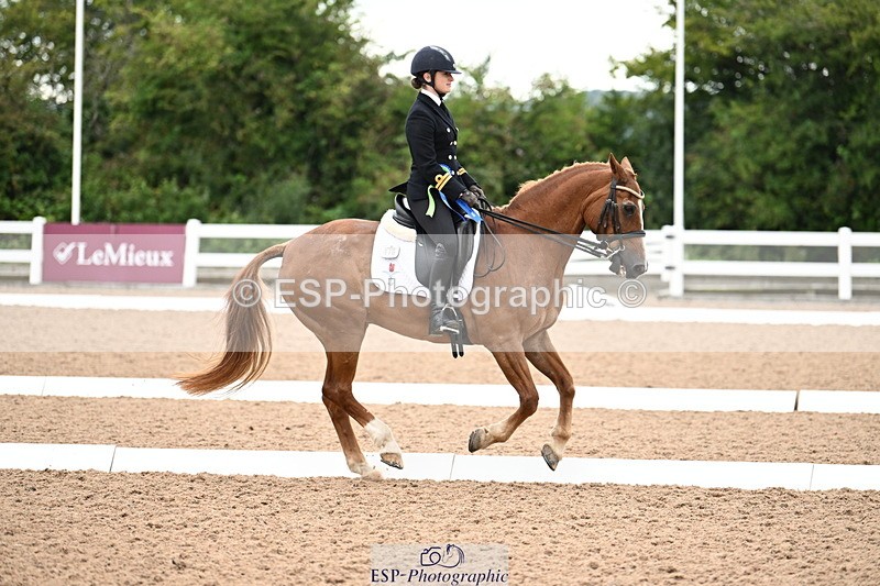 240815A-153937-02414 - Cls 3-P PSG Bronze