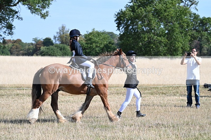 WJ7_2995 - Class 8 Ridden Tack & Turnout