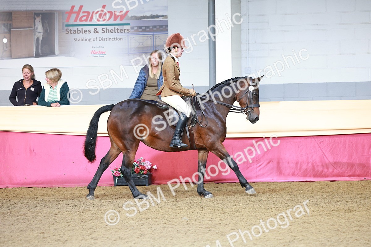 SBM_11922 - Class 102 - Equitation (Best Rider) Adult