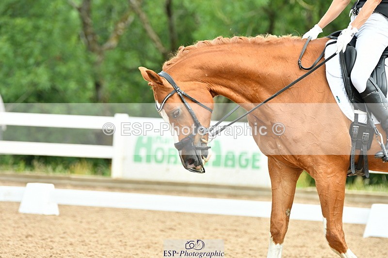 230701A-095506-04629 - Cls 4 Novice 23