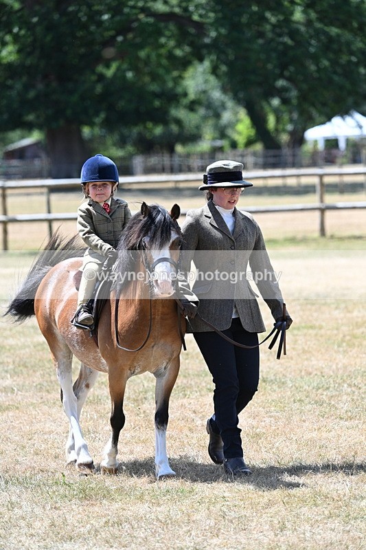 WJ7_2556 - Class 6 Ridden Mountain and Moorland