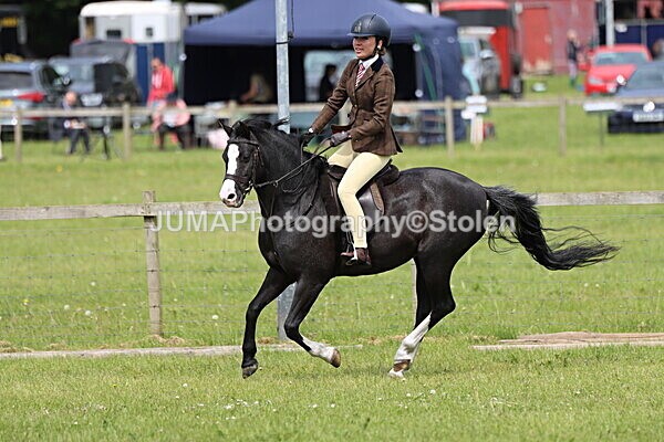 IMG_3201 - Working Hunter