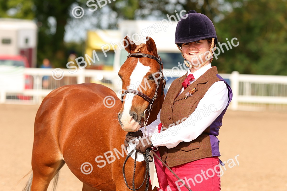 SBM_10242 - Class 205 - IH Show Pony - Show Hunter Pony