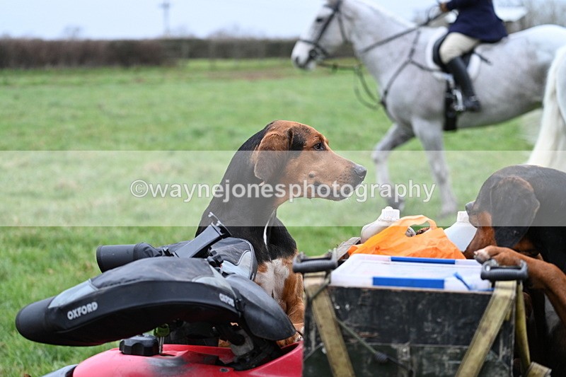 WJ7_4135 - Meet