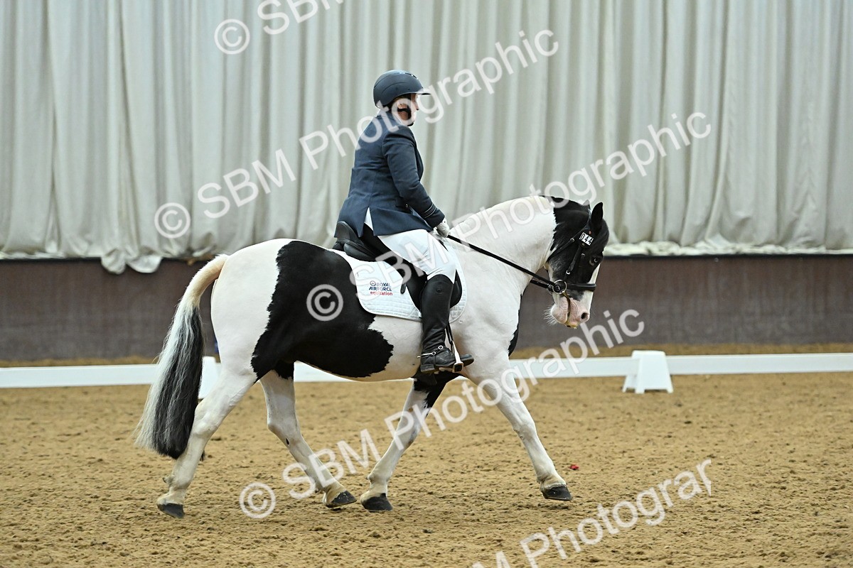 SBM_007398 - Class 81 - Novice 3
