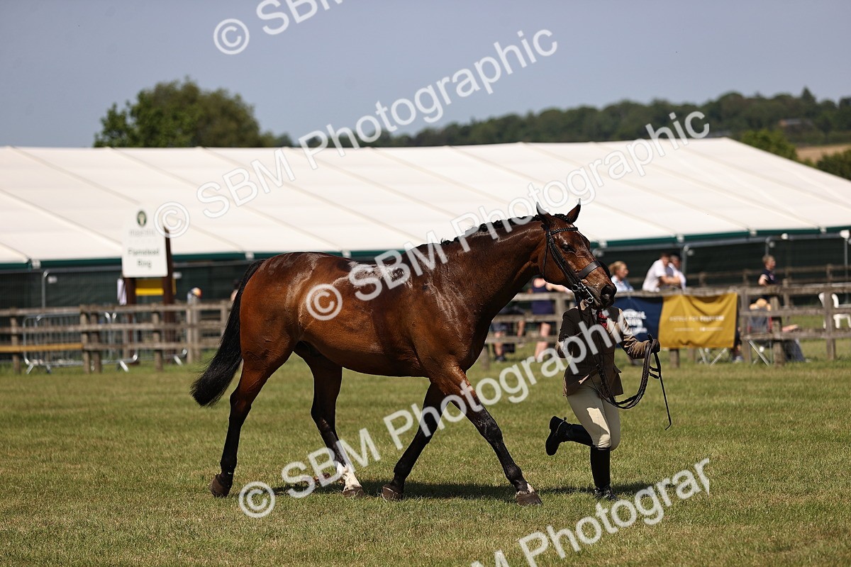 SBM_17779 - Class 81-83 - TSR Ridden Amateur of the Year - Horses