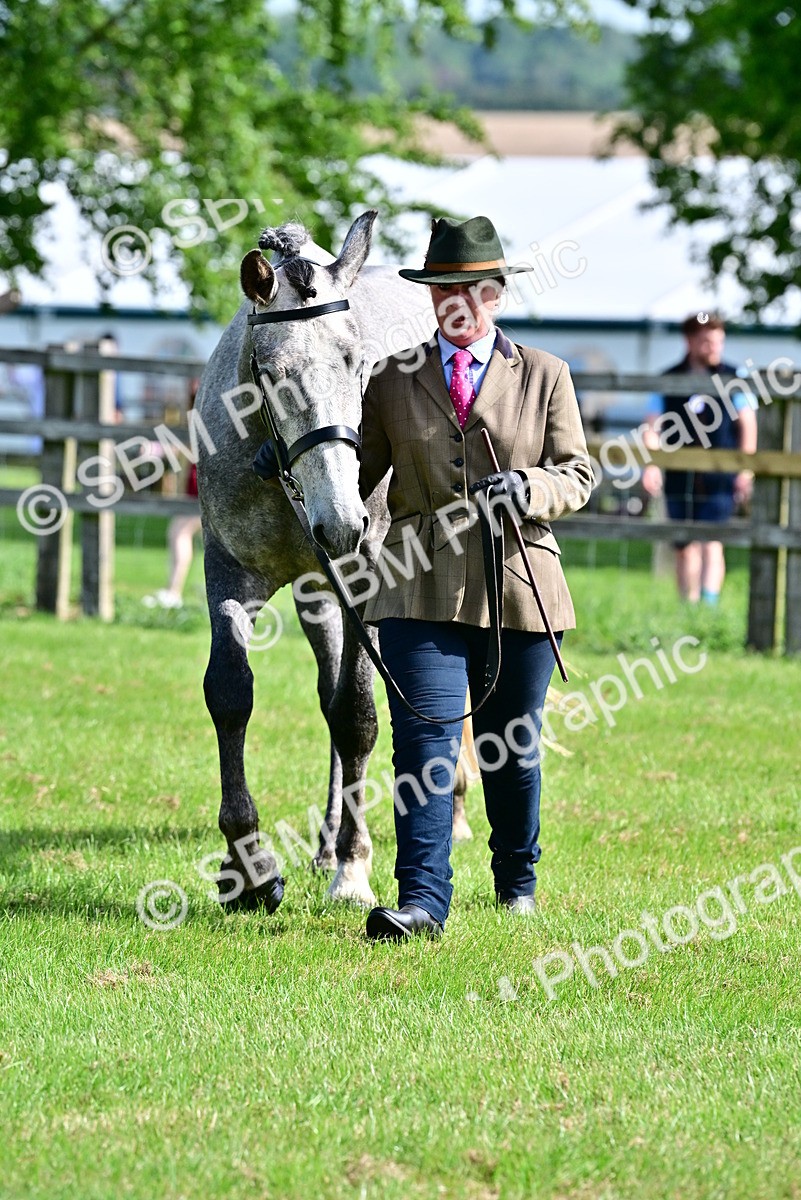 SBM_03343 - Class 50 - 54 Light Horse Breeding