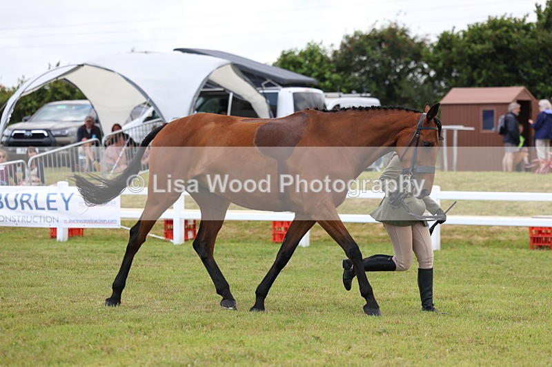 3E7A1761 - Class 9: Open Hunter