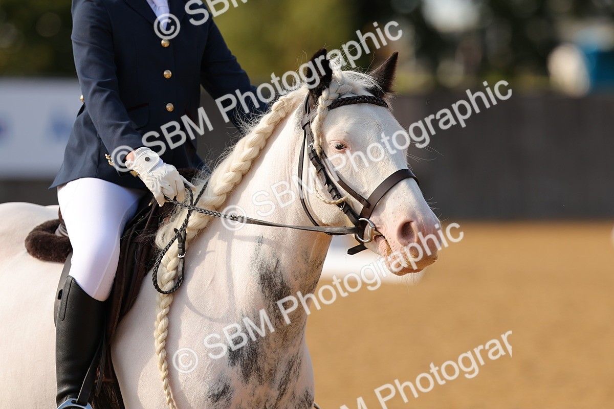 SBM_49667 - D22 - Junior Championship - Intro B