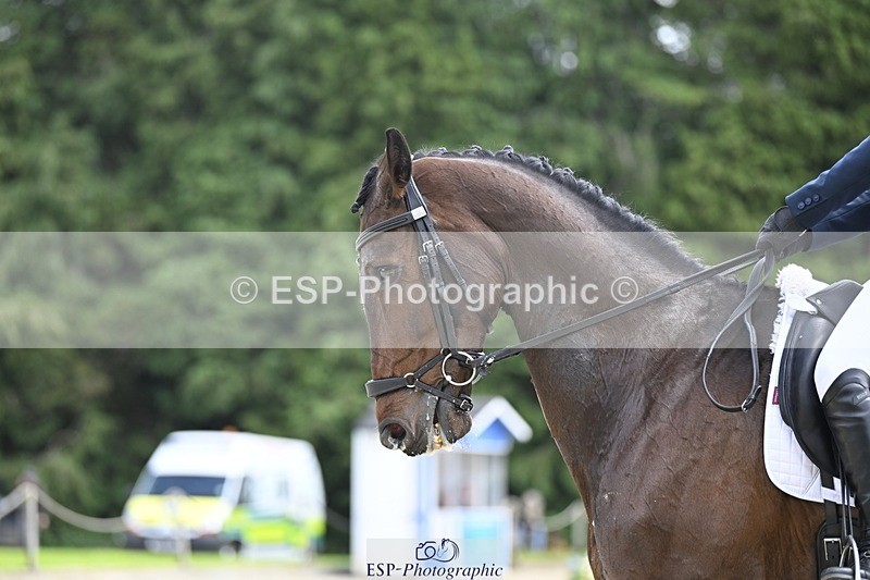 000101-190046-03815 - 427-ICARUS-Isabel_White