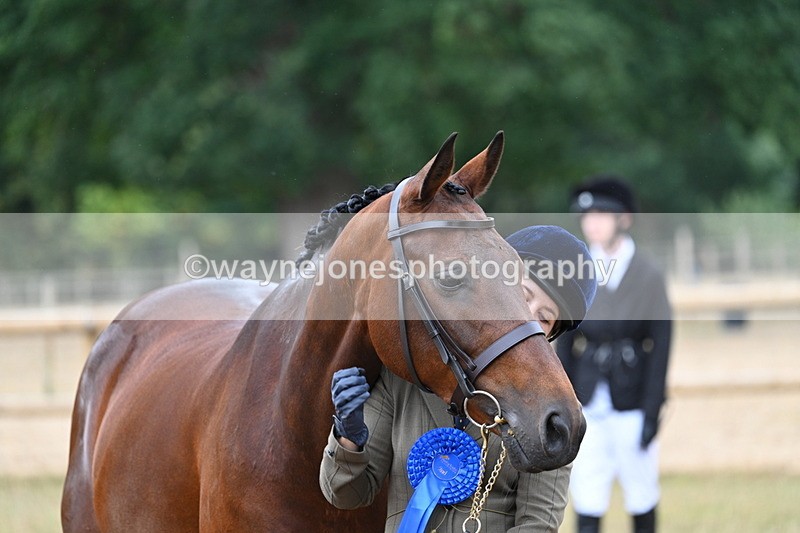 WJ7_9263 - Class 4a Prettiest Mare 14.2hh and over