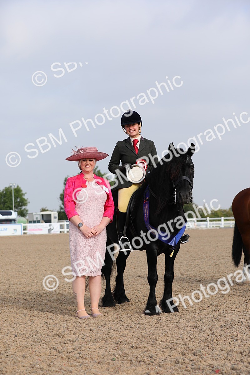 SBM_10157 - Class 302 Ridden M&M -Large Breeds