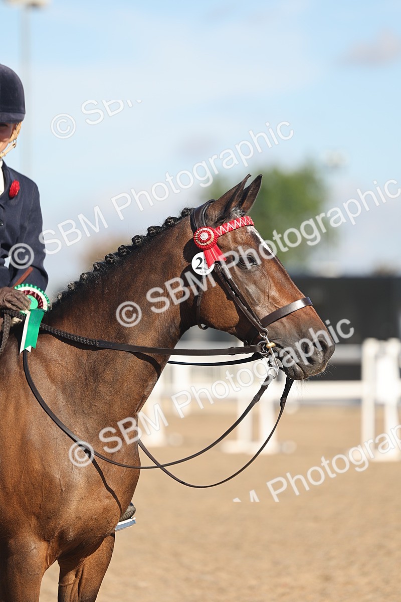 SBM_12261 - Class 303 - Ridden Pure Bred Horse Pony