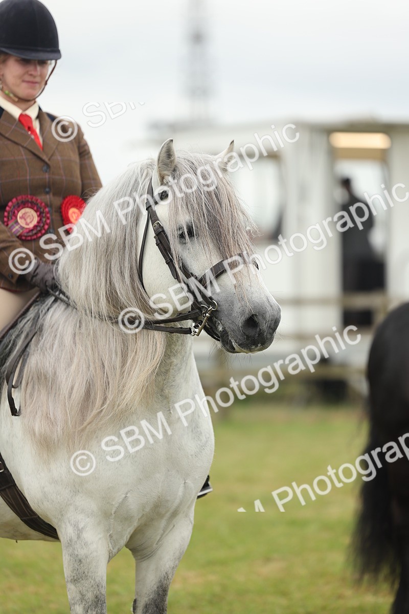 SBM_09040 - Class 78-80 - Ridden M&M Non Welsh Ponies