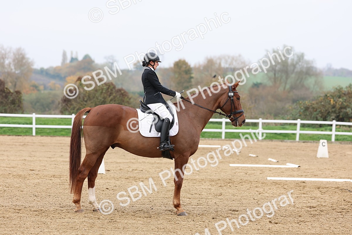 SBM_008441 - Class 11 - Medium 5