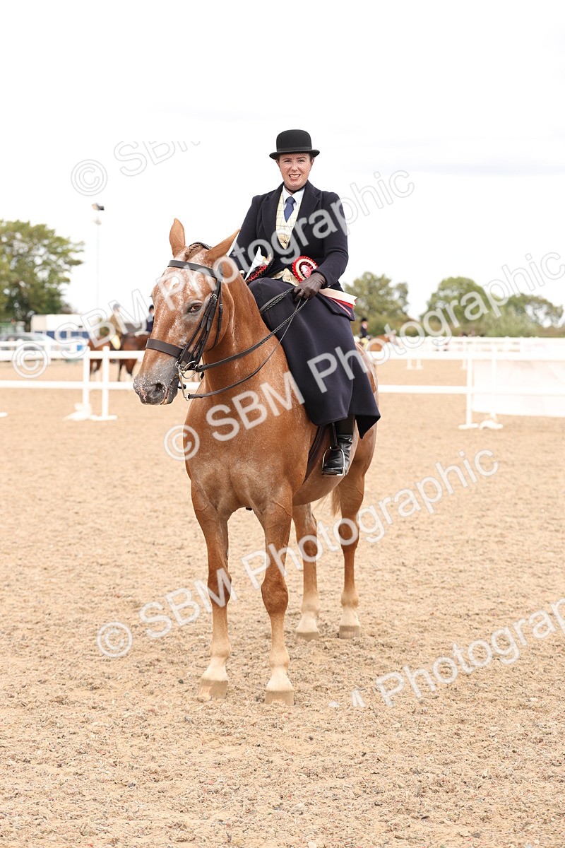SBM_16442 - Class 211 - Best Side Saddle Horse - Pony