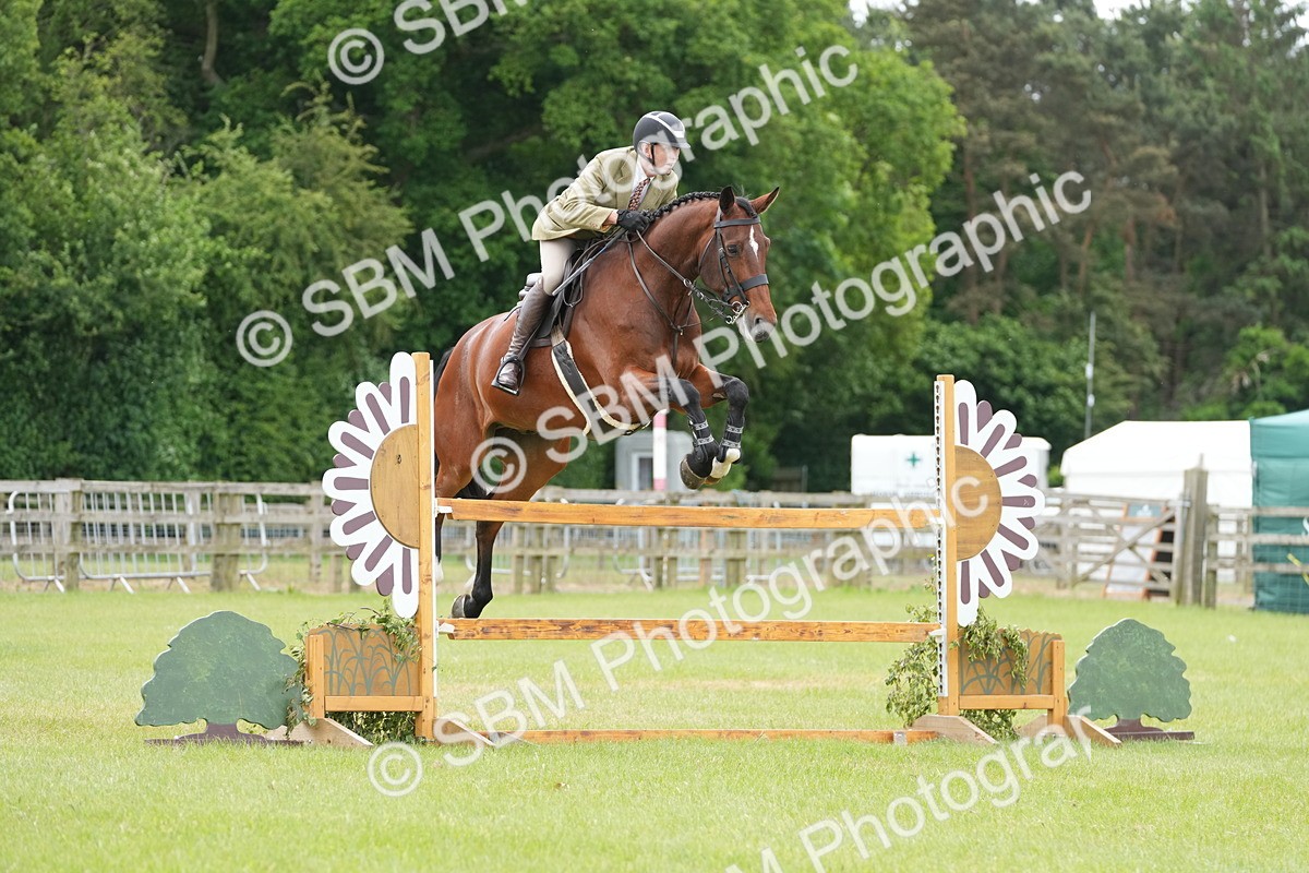 SBM_14941 - Class 100-102 - RIHS Working Hunter