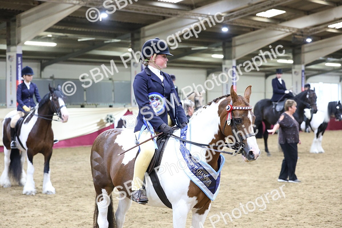 SBM_20256 - Class D - Grass Roots Champ