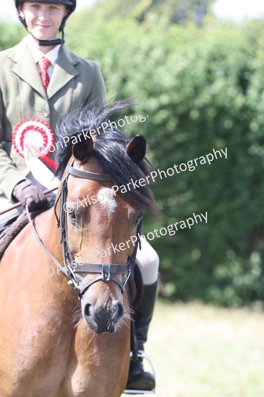 20250831-2999 - Class 19 - Mountain and Moorland