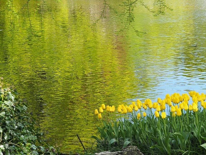 P42303630649 - Spring's Delights