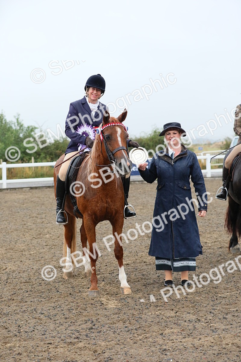 SBM_20372 - Class 803 - Ridden Combination 65+