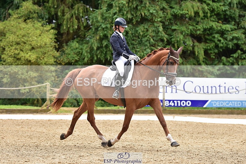 250719A-121024-05481 - 112-Amelia.Antippas-Romanno.Lady.Gaga