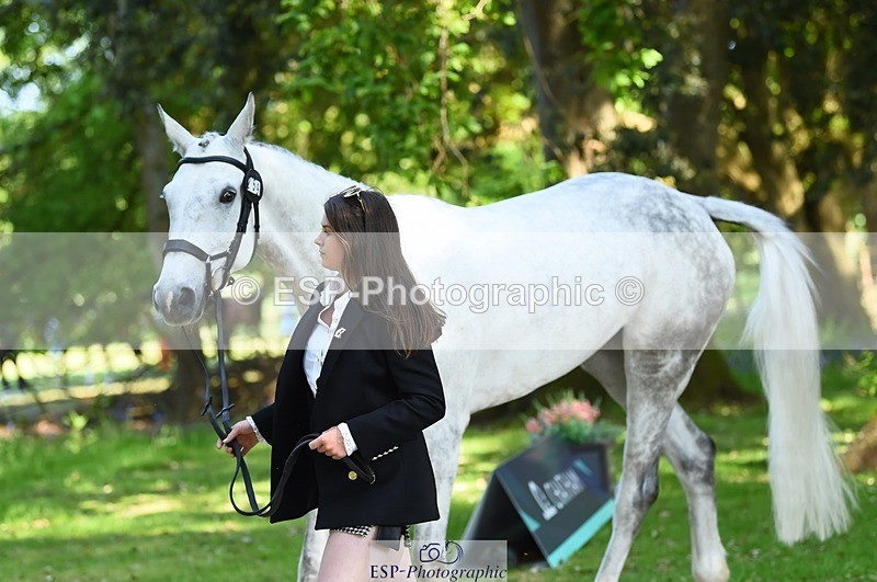 230524-161452-00789 - 259-KATE_BLUE-Millie_Juleff-WEDTrotUp+DR