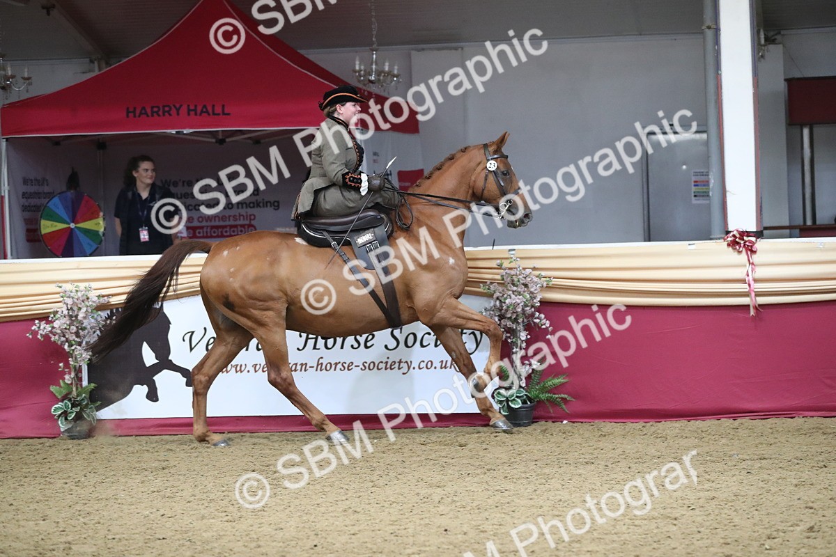 SBM_11550 - Class 105 Ridden Costume- Side Saddle
