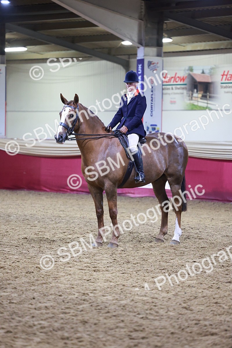 SBM_15430 - Class Q - Ridden Horse Champ