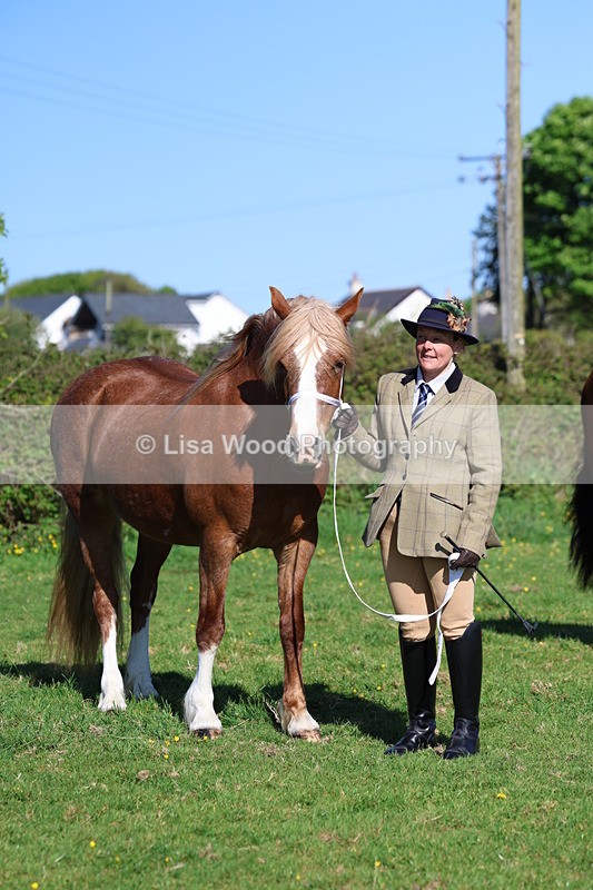 3E7A8611 - Class 13: M & M Large Breeds