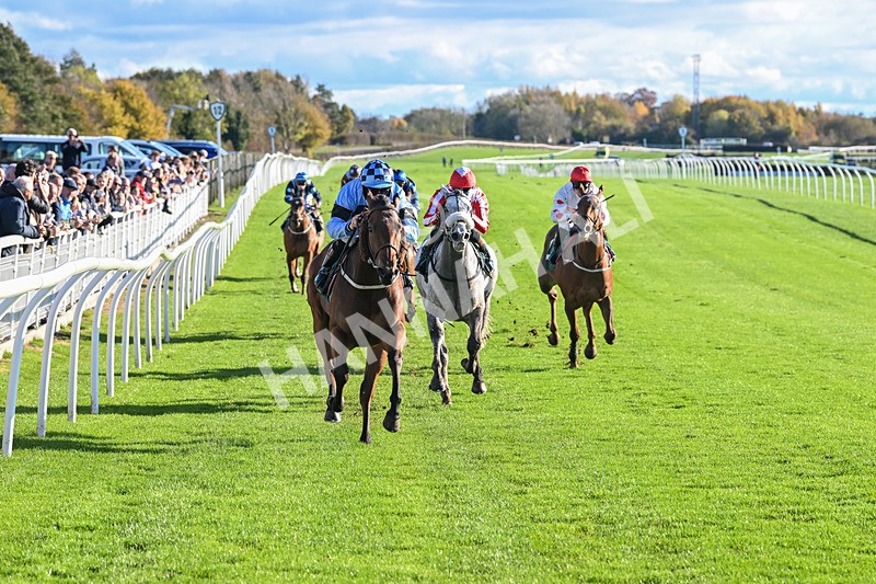 291024-Race 2-Ninety Nine-5813 - Race 2