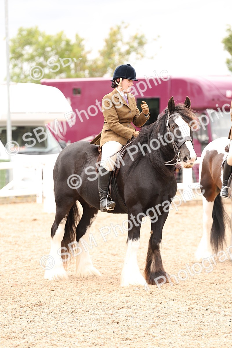SBM_19701 - Class 216 - Ridden Traditional - Native Cob