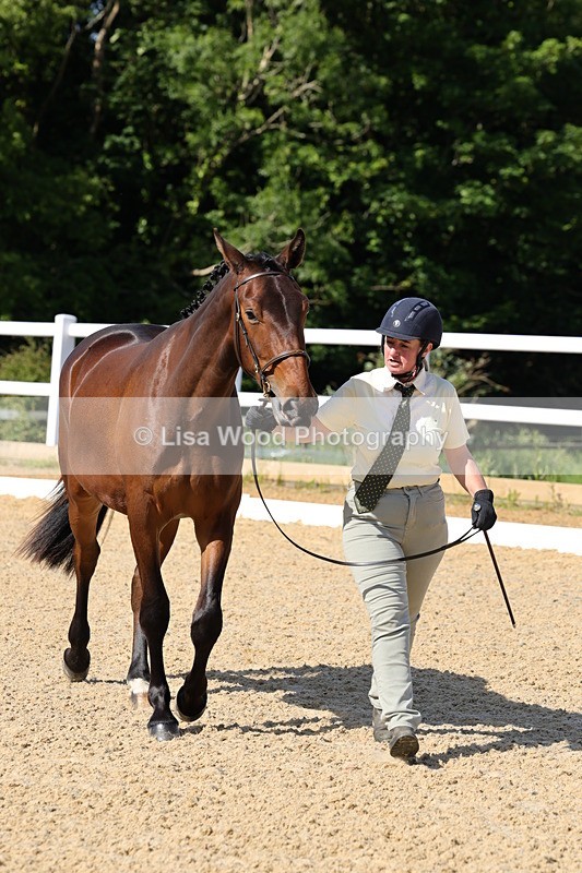 1X9A0791 - Class 4: Youngstock 1, 2, 3 year old to exceed 153cm