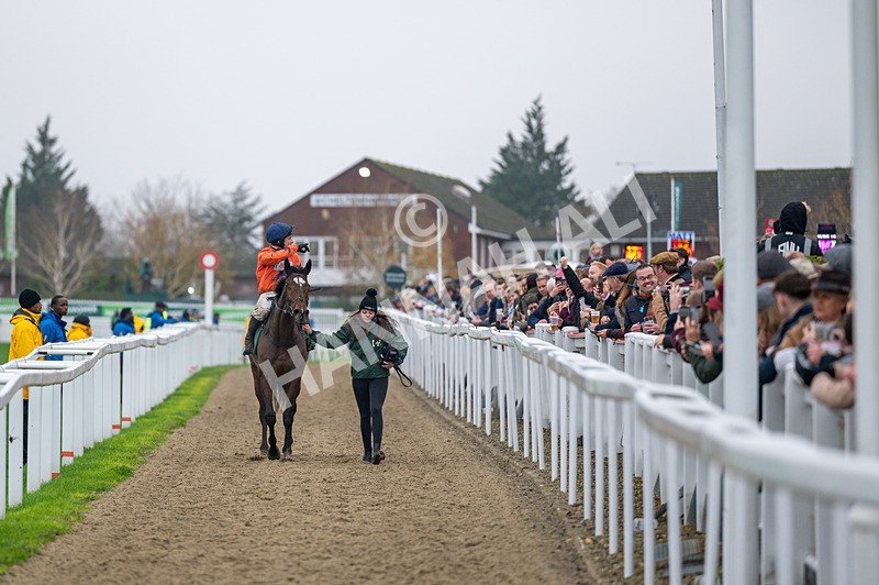 151125-Race 4-Panic Attack-0877 - Race 4