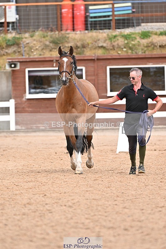 250716-162119-02590 - Trot Up 3.30 to 4.30