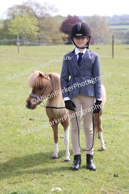 20260426-3237 - Class 26 - Shetland Ponies and Minitures