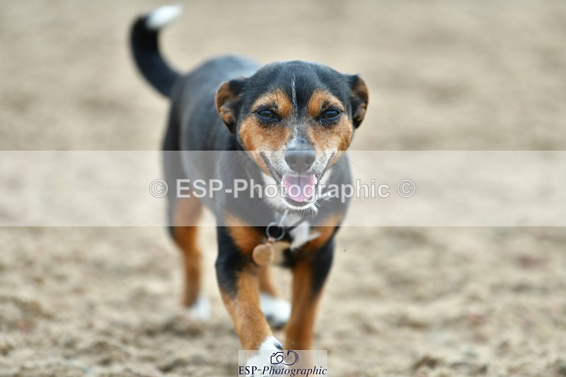 230609A-174322-01939 - Jolly Jumps Ride and Run