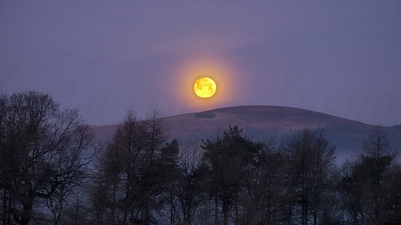 Winter 5 December Moonset_4221 - Earth Element
