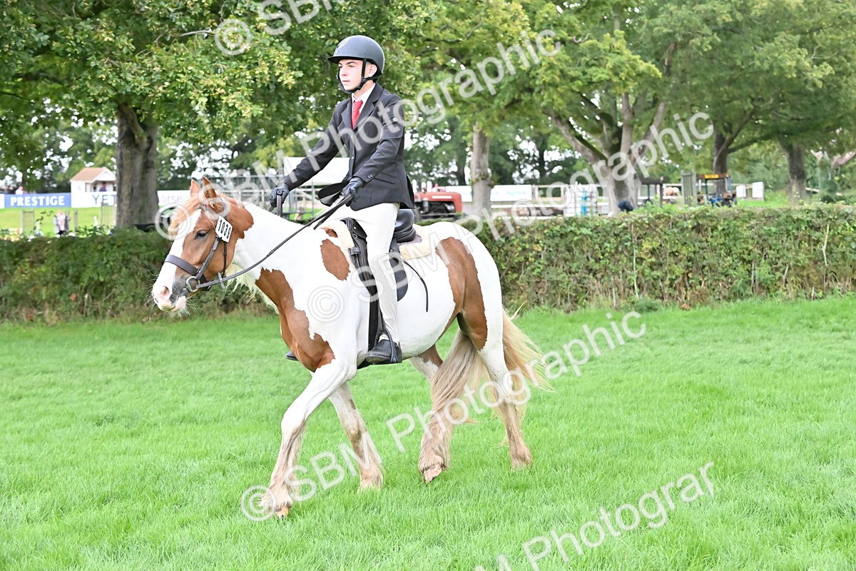 SBM_42919 - S12 - Family Horse & Pony