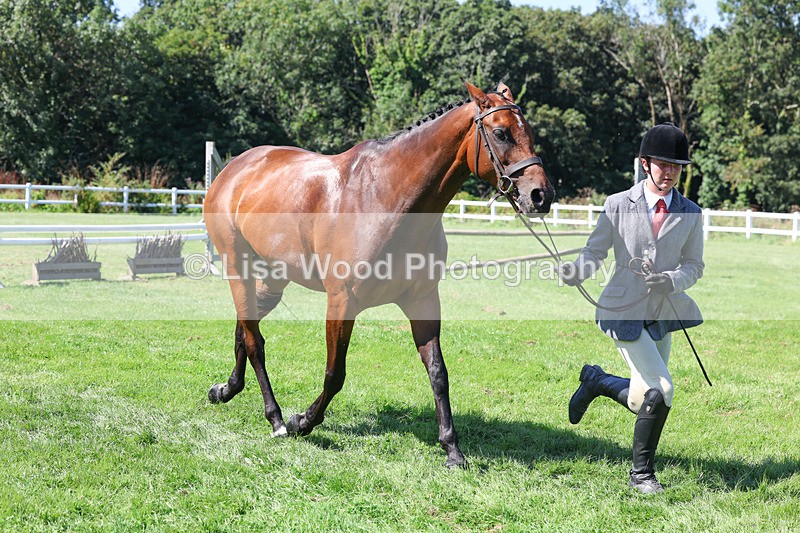 3E7A8503 - Class 4: Novice working Hunter