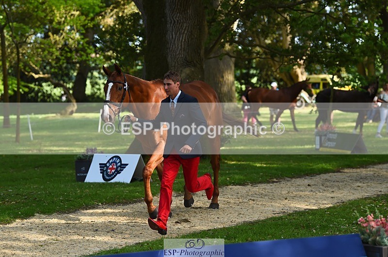 230524-170836-01305 - 156-JUST_PERFECT-Gaspard_Maksud-WEDTrotUp+DR