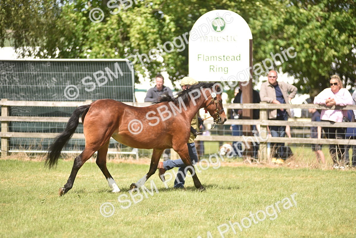 SBM_16109 - Class 117-122 - SSADL RIHS Qualifier