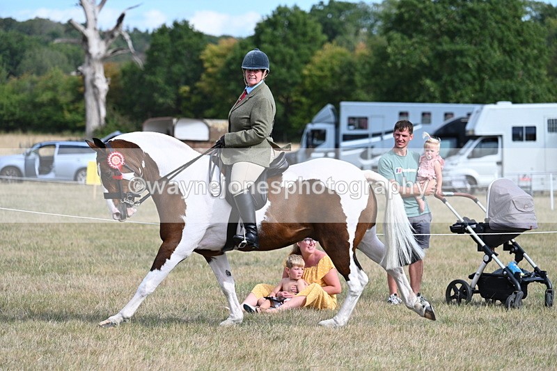 WJ7_7782 - Ridden Championship