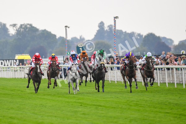 100923-Pony Race 2-Its Fatherted-0241 - Pony Race 2 12.45 The Dragon (TV and Film) Studios Pony Race 148cm & Under