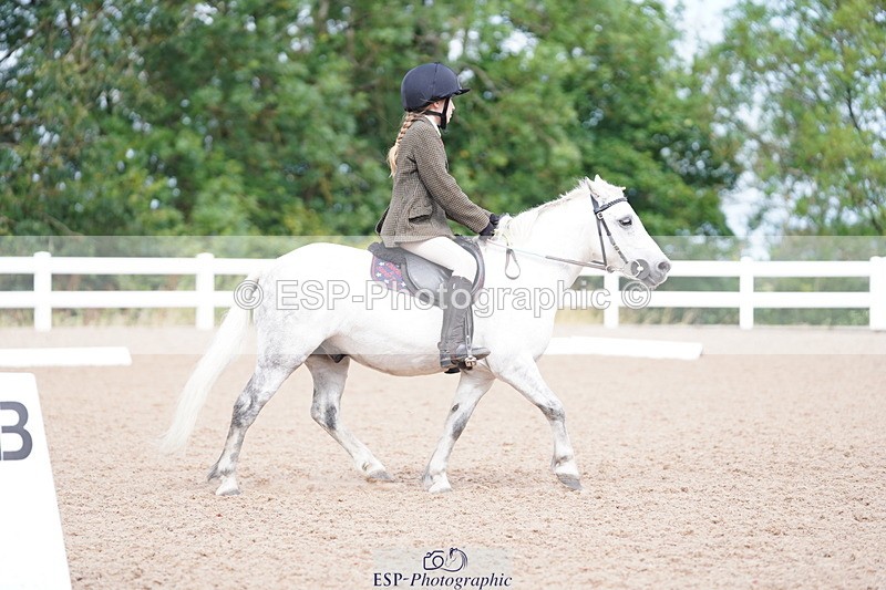 240809A-104822-00666 - Dressage Competition