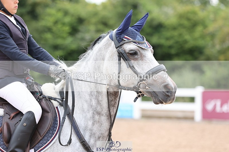 240630A-163648-15251 - Cls 33 Foxhunter and 1.10m Open