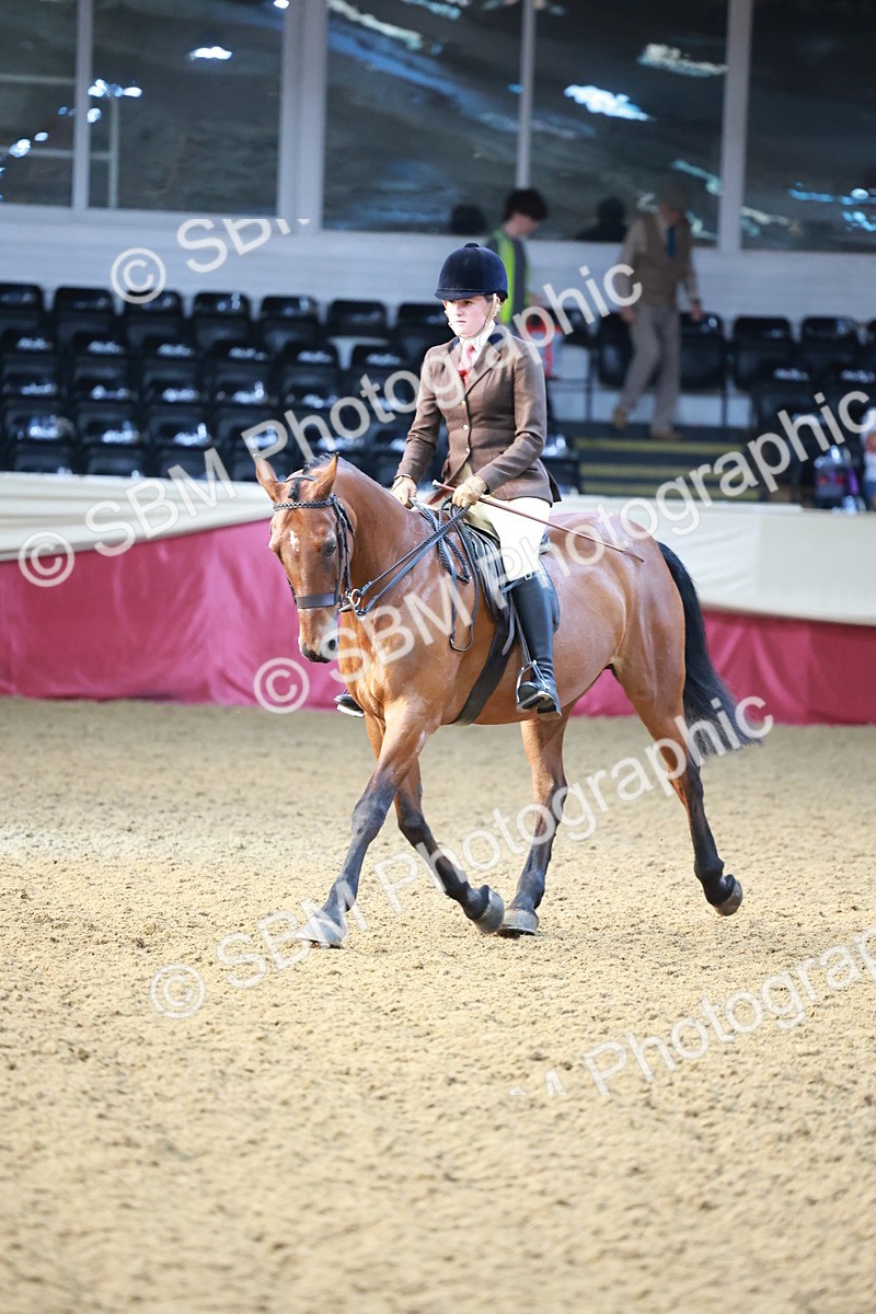 SBM_11846 - Class 102 - Equitation (Best Rider) Adult