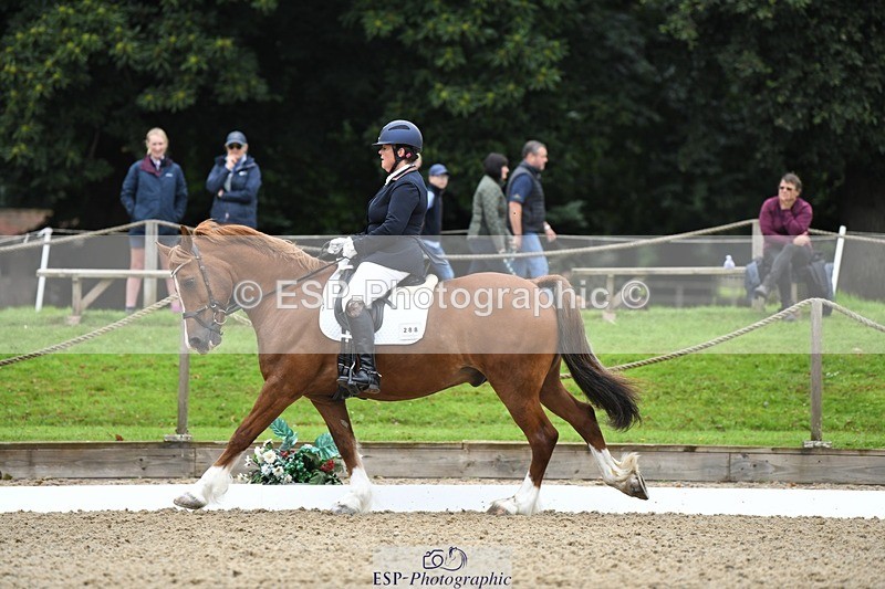 230812-091928-02768 - Cls 6 Novice Silver Start to 10.20 break